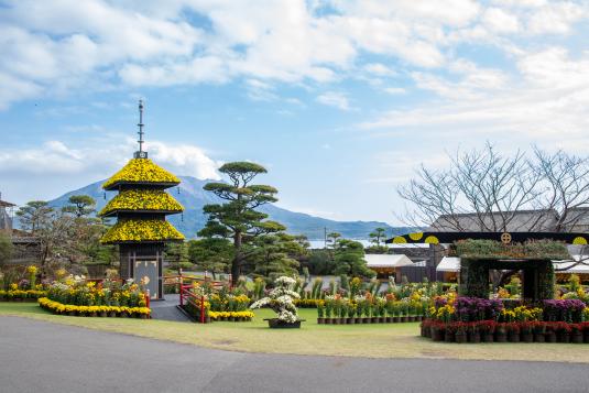 仙巌園の菊まつり