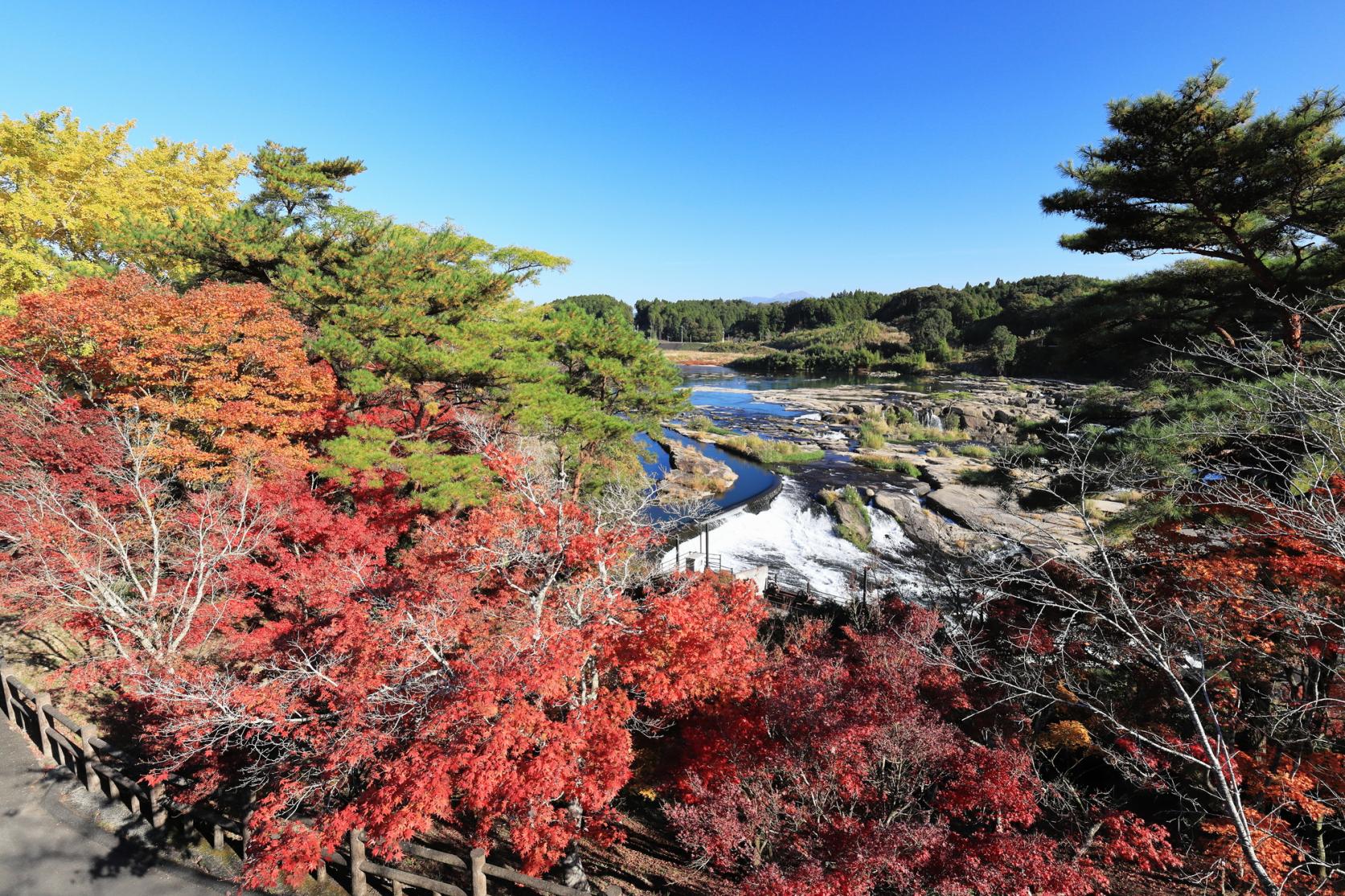 曽木の滝と紅葉