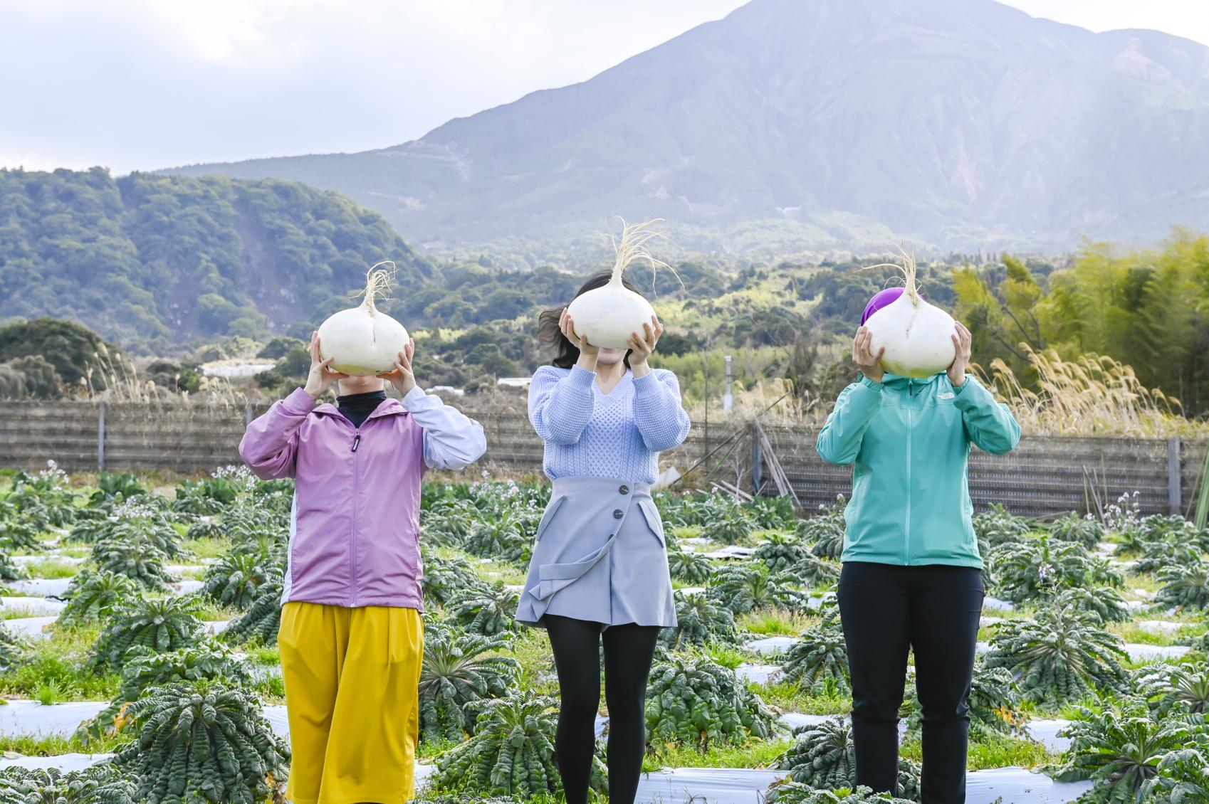 Activities in Sakurajima-1