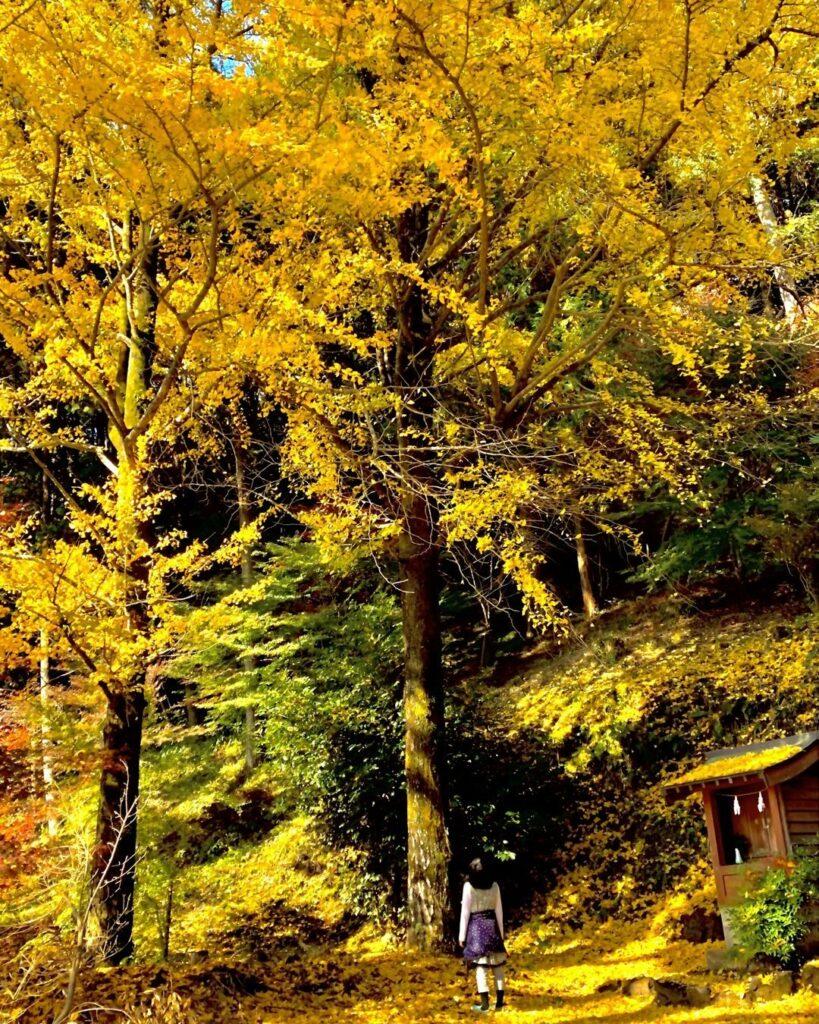 #八幡神社 #鹿児島市-1