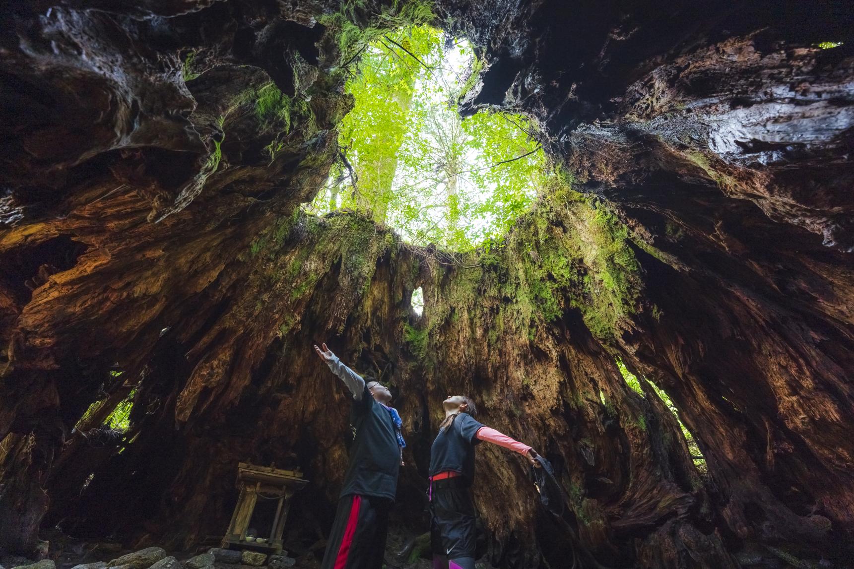 屋久島 – 得到世界認證的,自古以來就被大自然所包圍。 ～-1