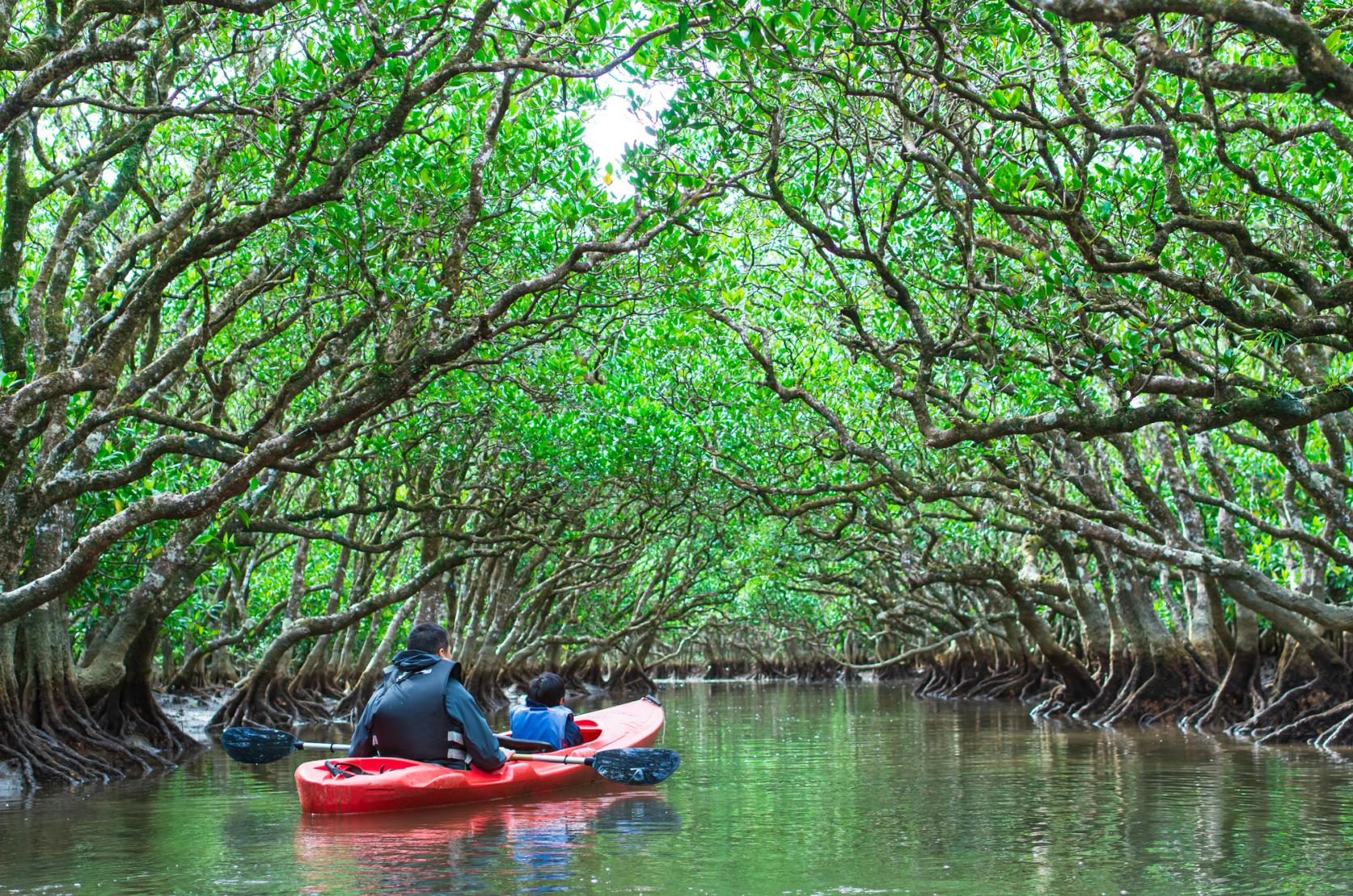 Amami Oshima: The island that boasts world-class appeal-1