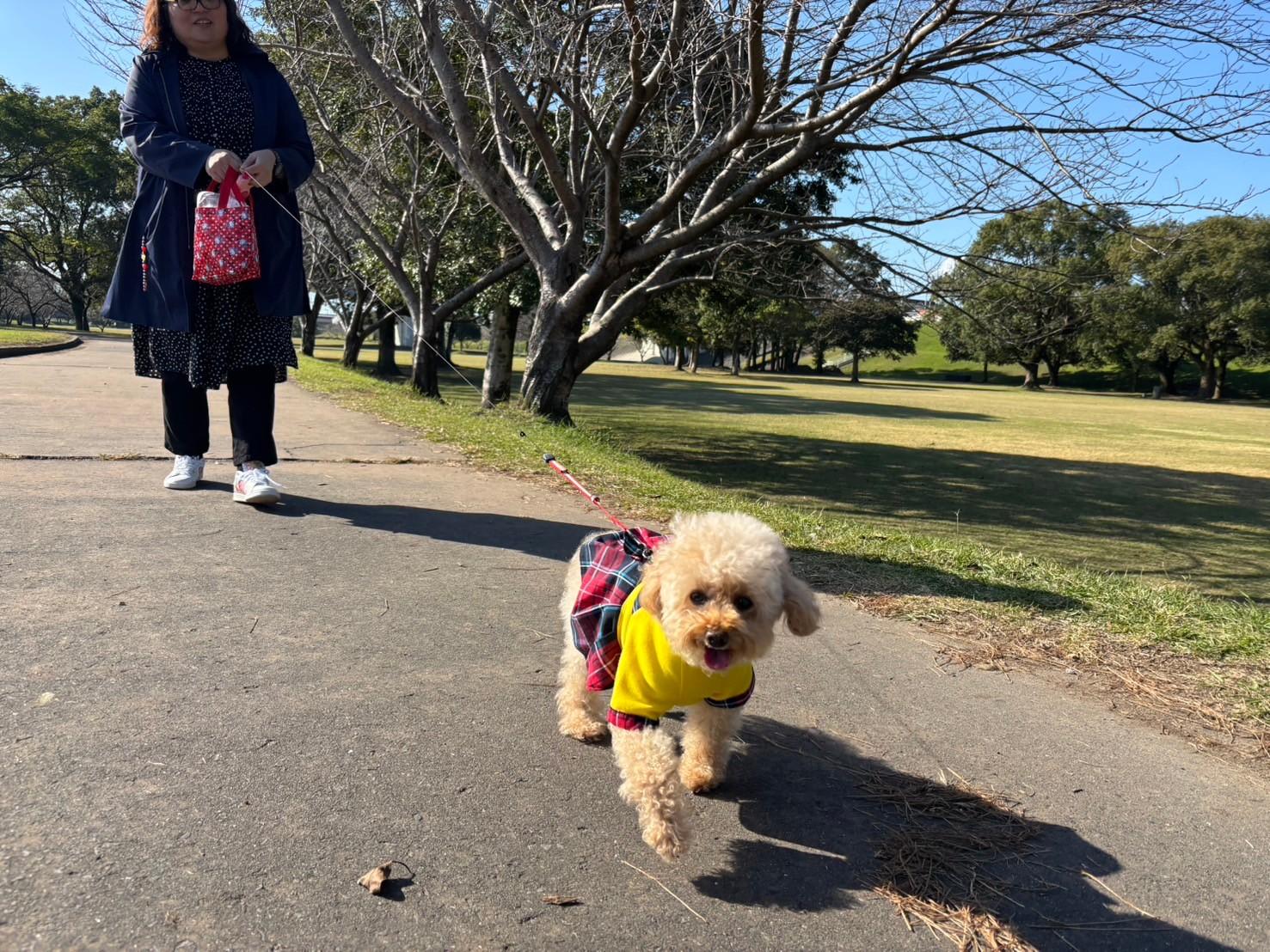  天降川ふるさとの川河川公園 