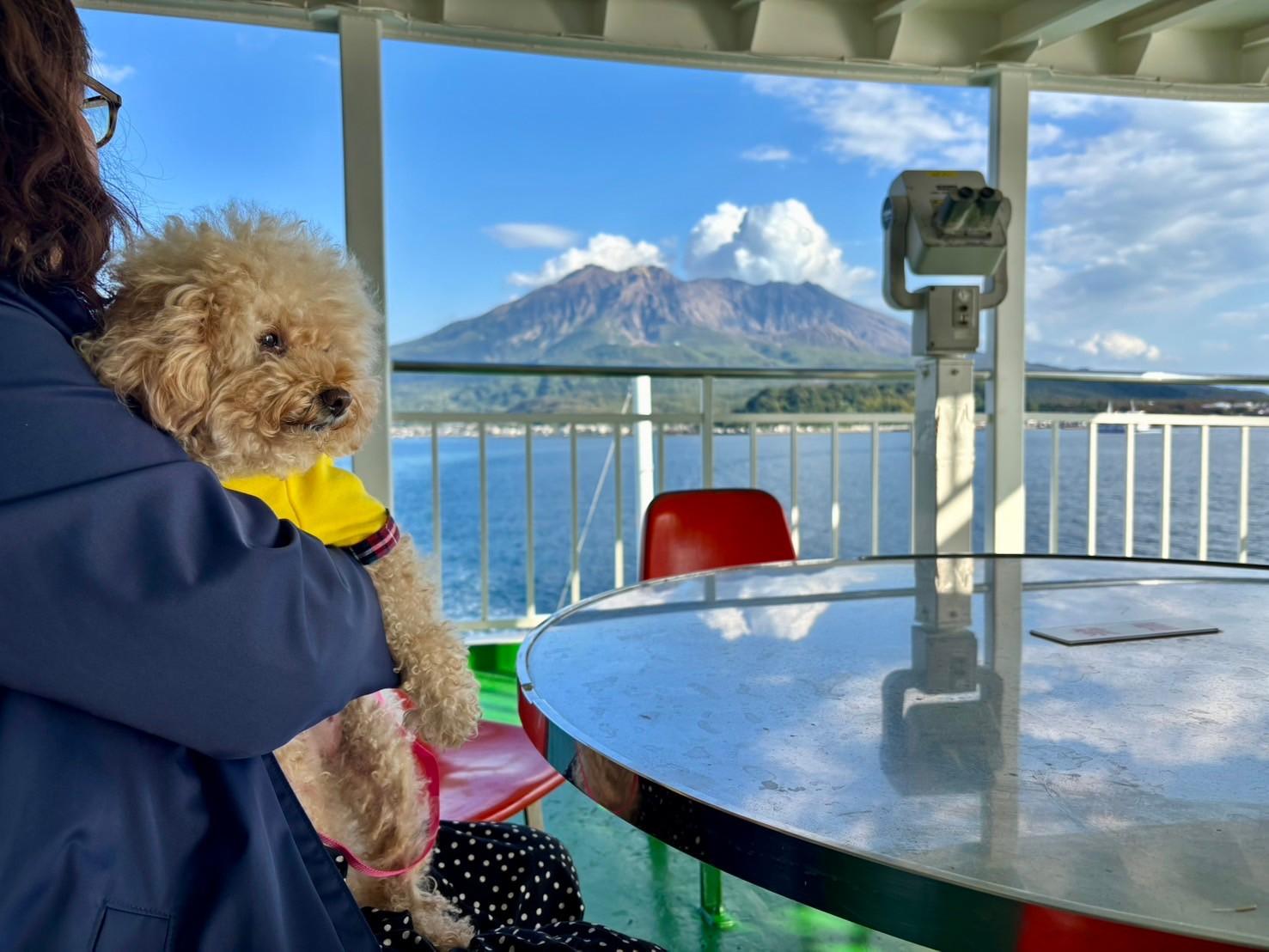  桜島フェリーターミナル【桜島側】 