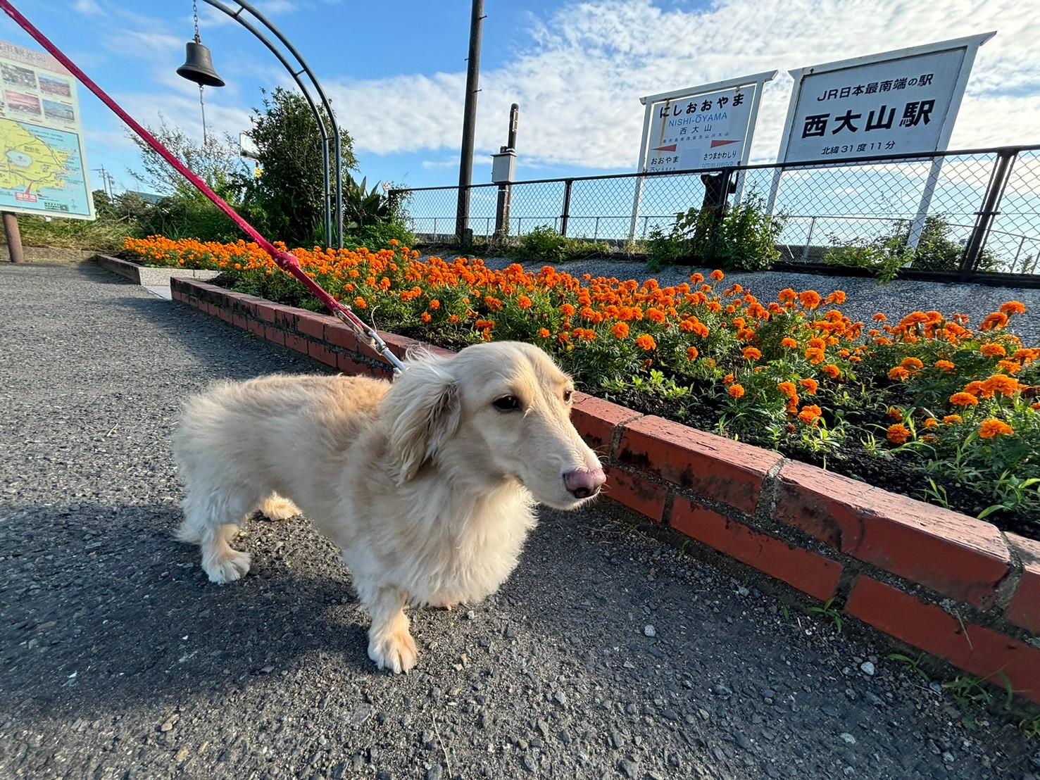  JR西大山駅 