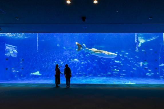  いおワールドかごしま水族館 