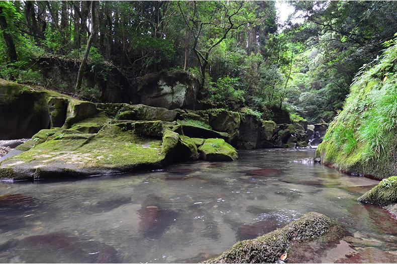  関吉の疎水溝 