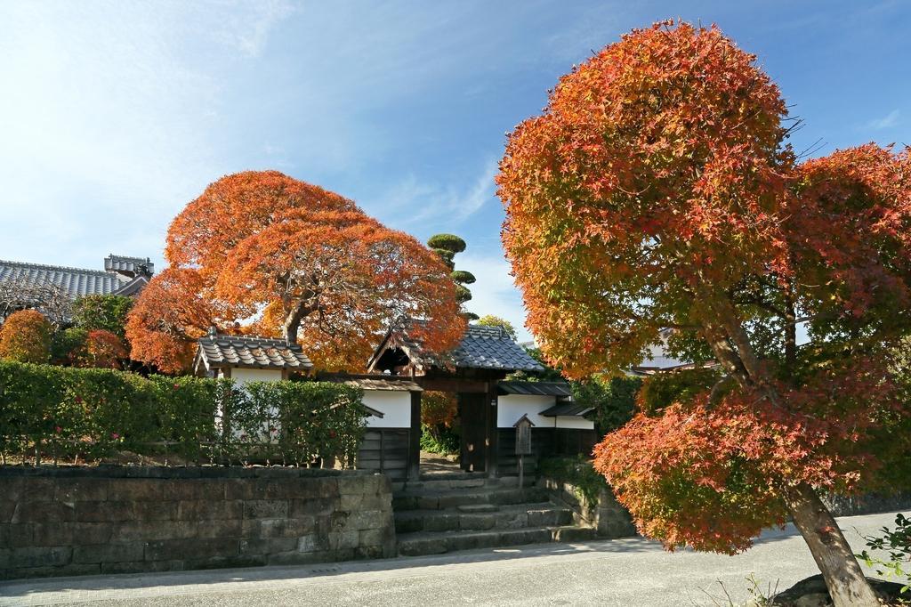 出水麓武家屋敷群・公開武家屋敷「税所邸」（出水市）-0