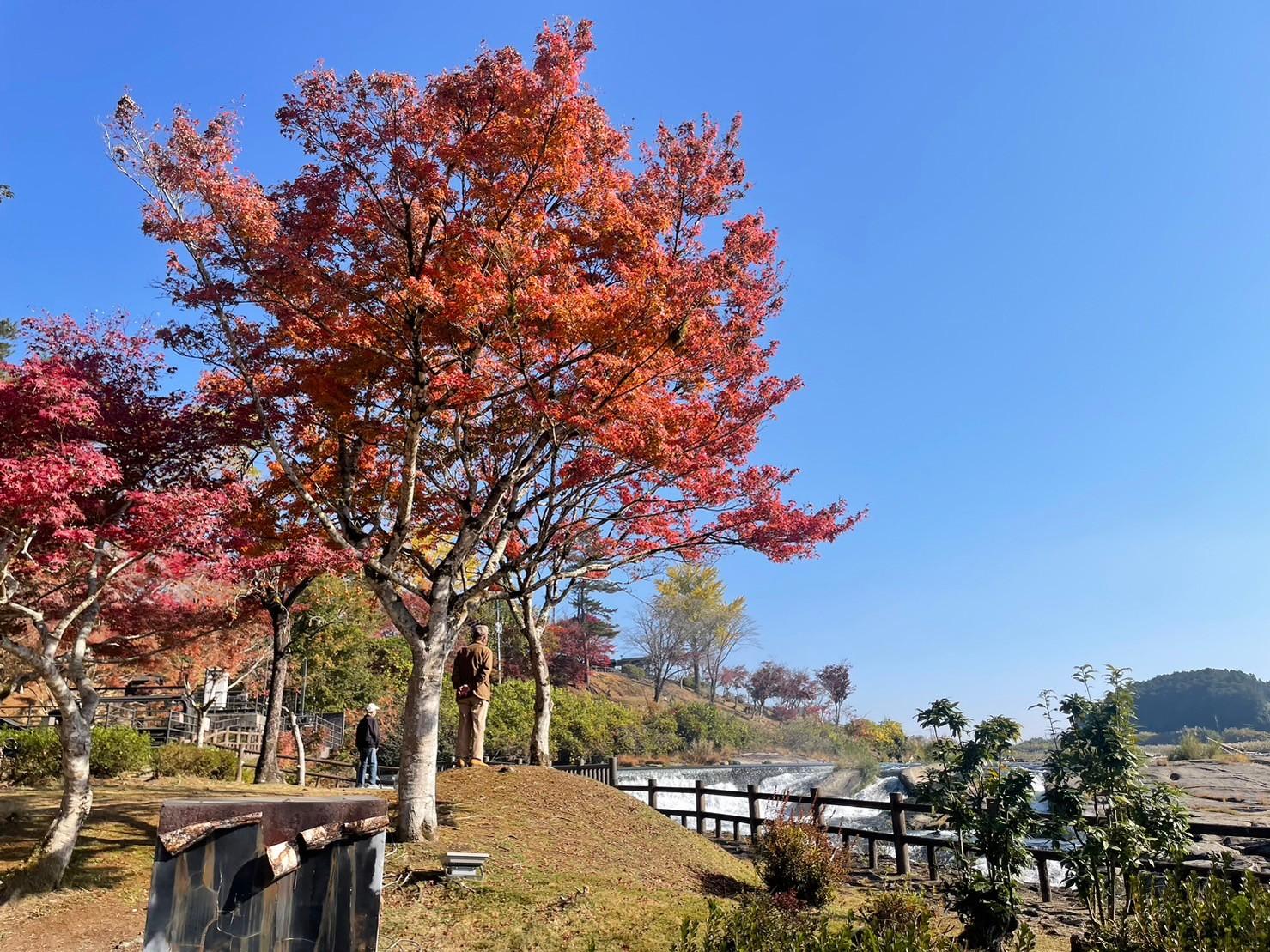 曽木の滝公園（伊佐市）-3