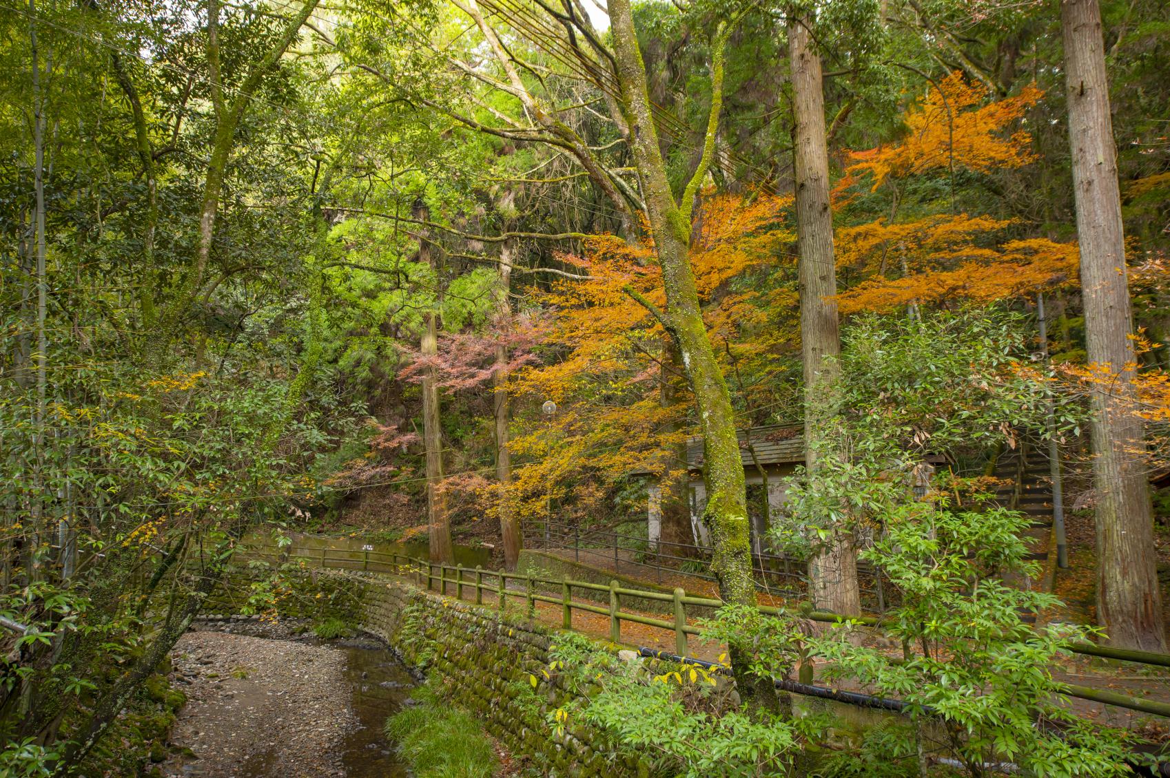 慈眼寺公園（鹿児島市）-0