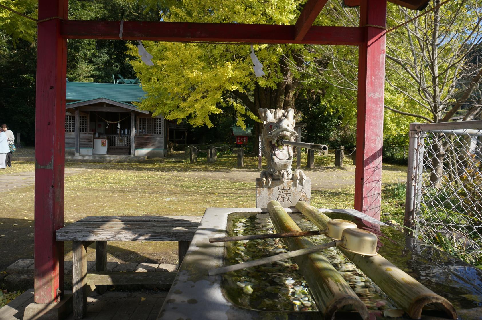 宮浦宮（福山のイチョウ）（霧島市）-3