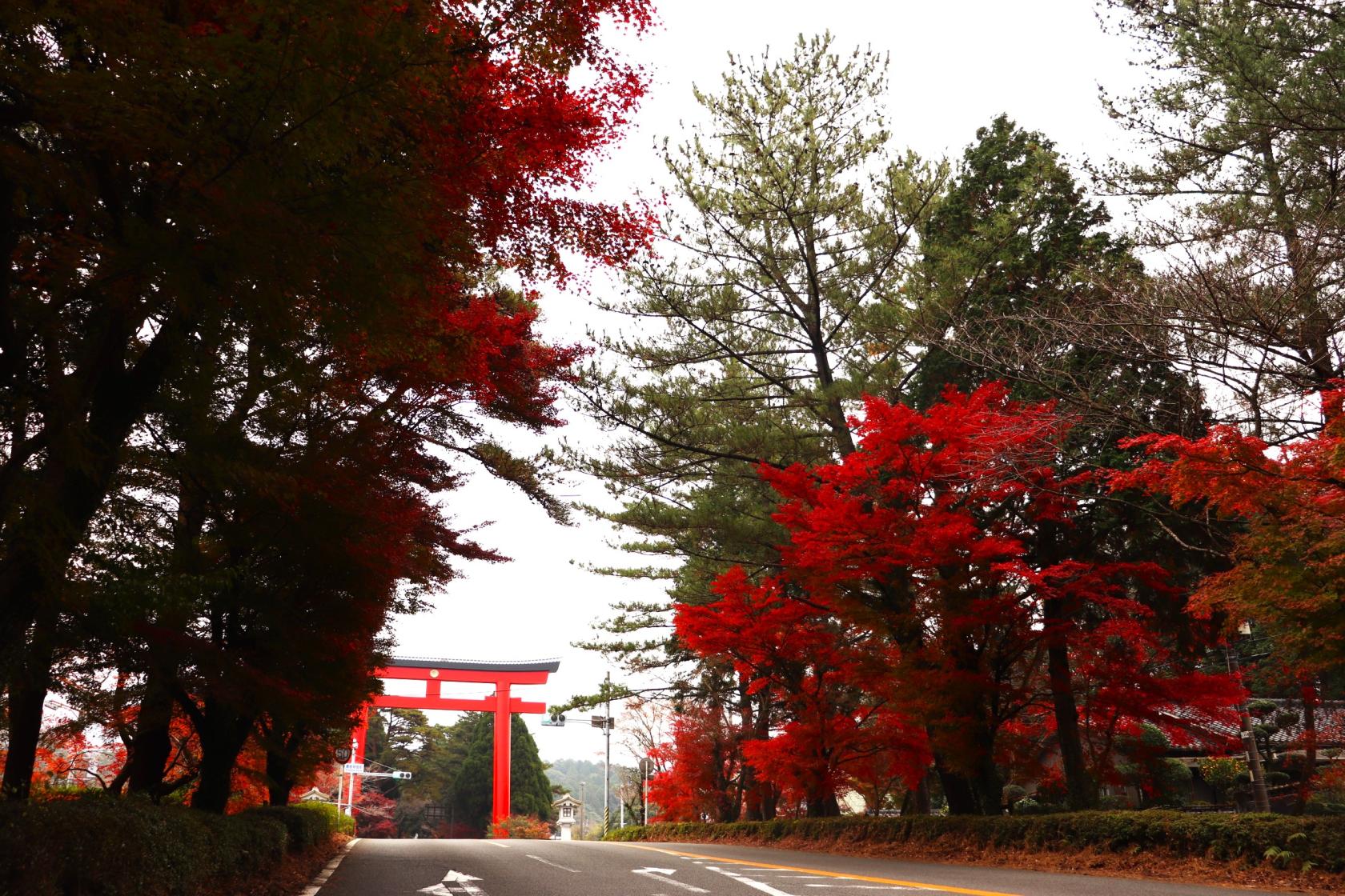 霧島神宮（霧島市）-1