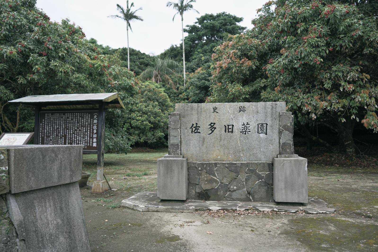 佐多旧薬園-0