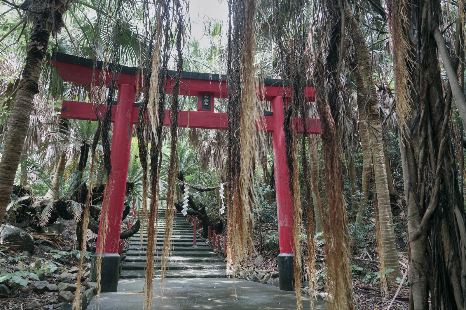 御崎神社-0