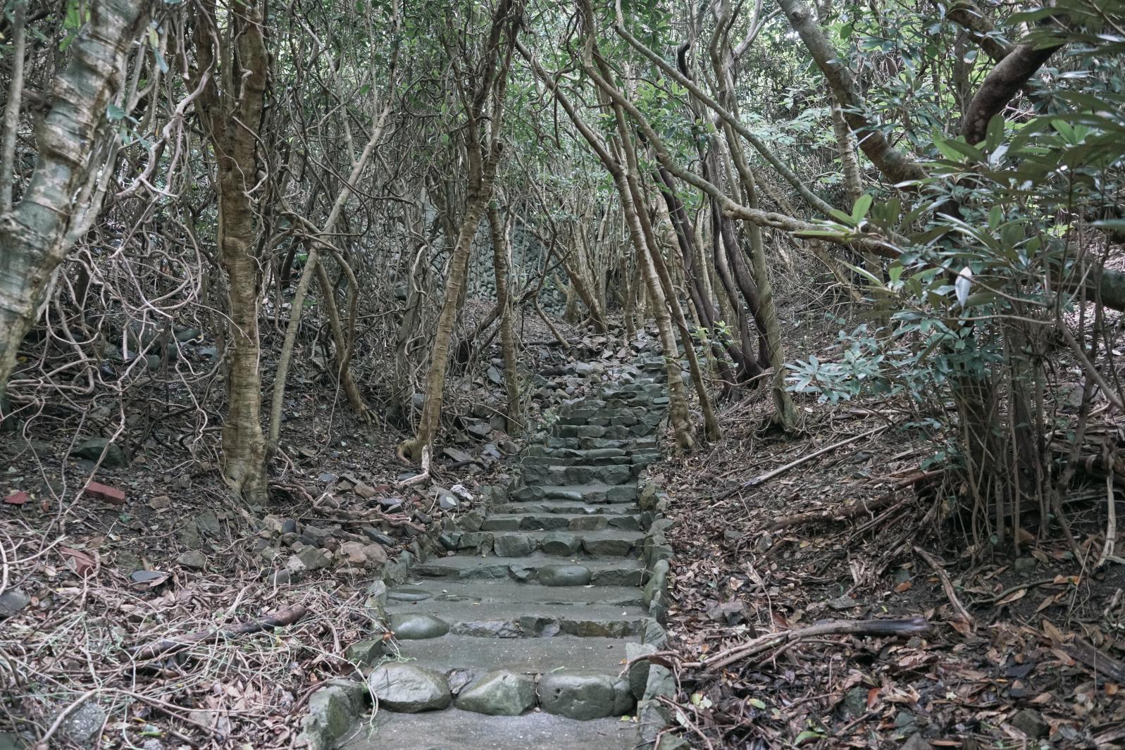 佐多岬灯台守の官舎跡地-0