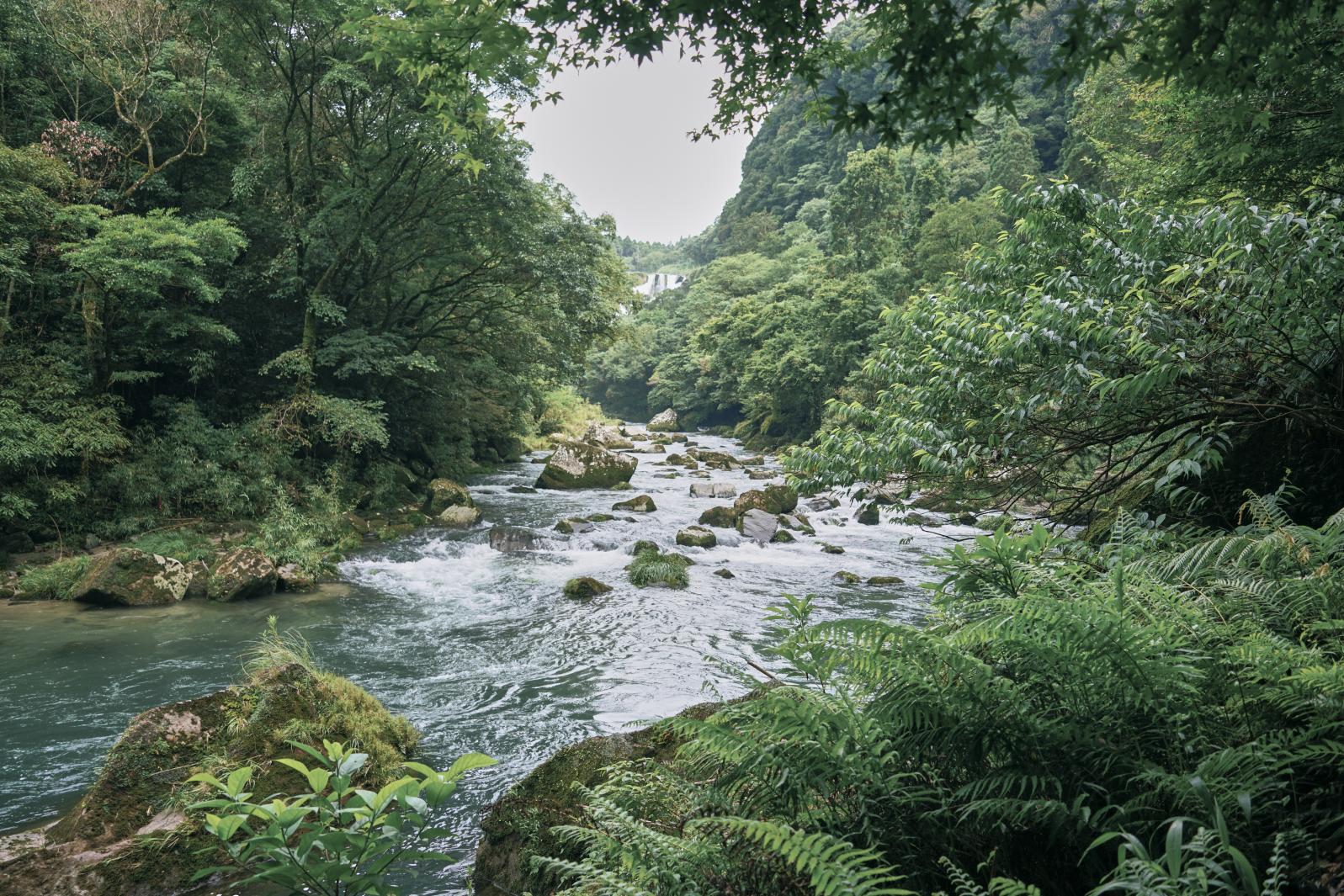 雄川の滝-5