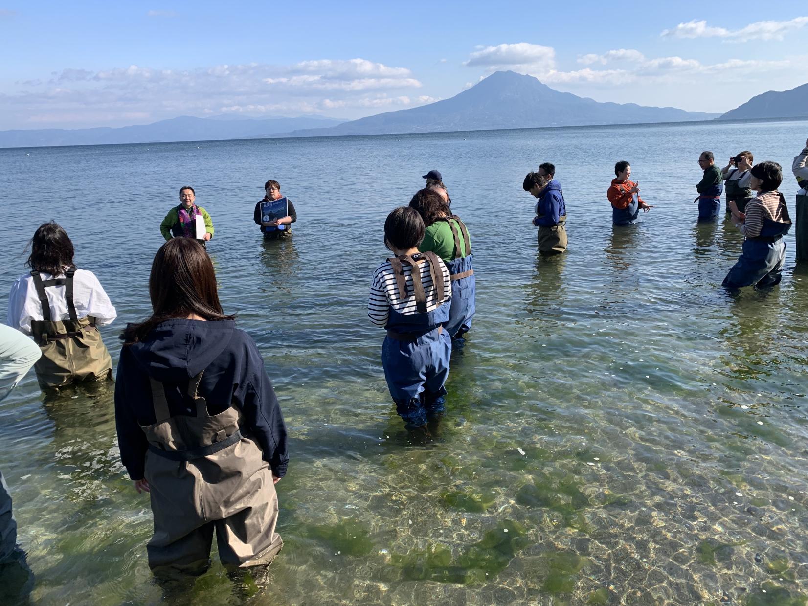 【姶良市】重富海岸自然ふれあい館なぎさミュージアム-2