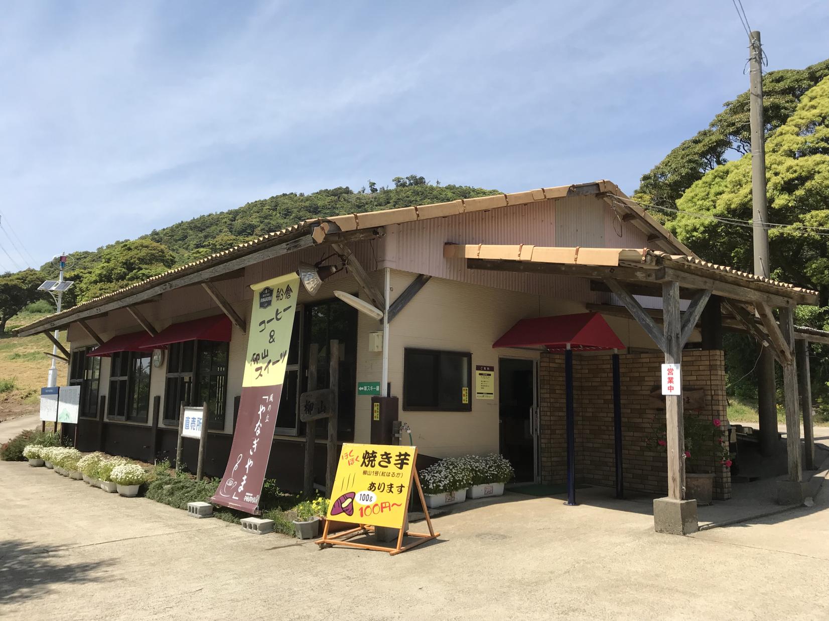 【薩摩川内市】柳山アグリランド　やなぎやま村（コスモス）-1