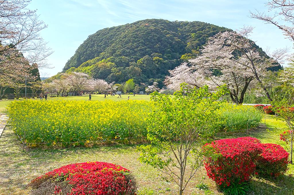 いこいの森　丸山公園-1