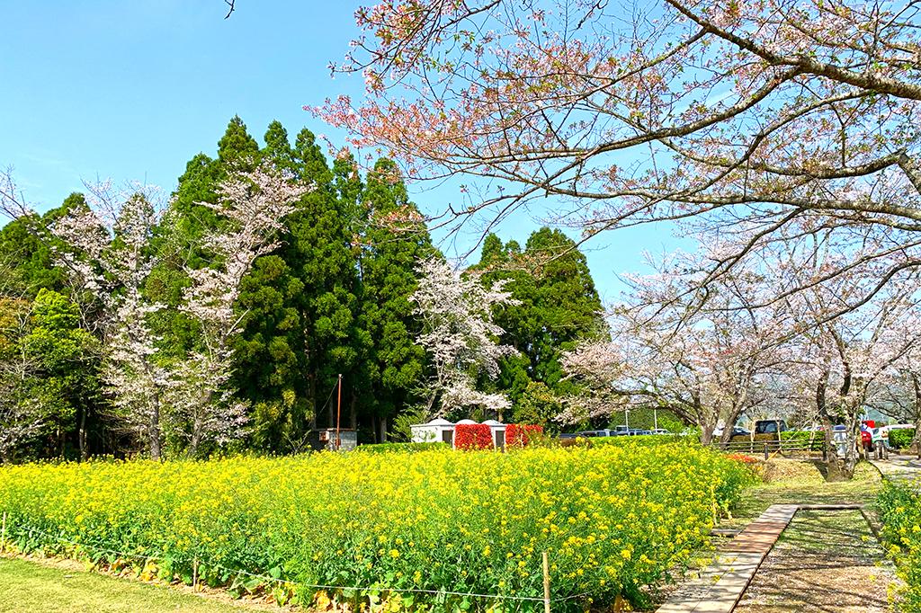 いこいの森　丸山公園-2