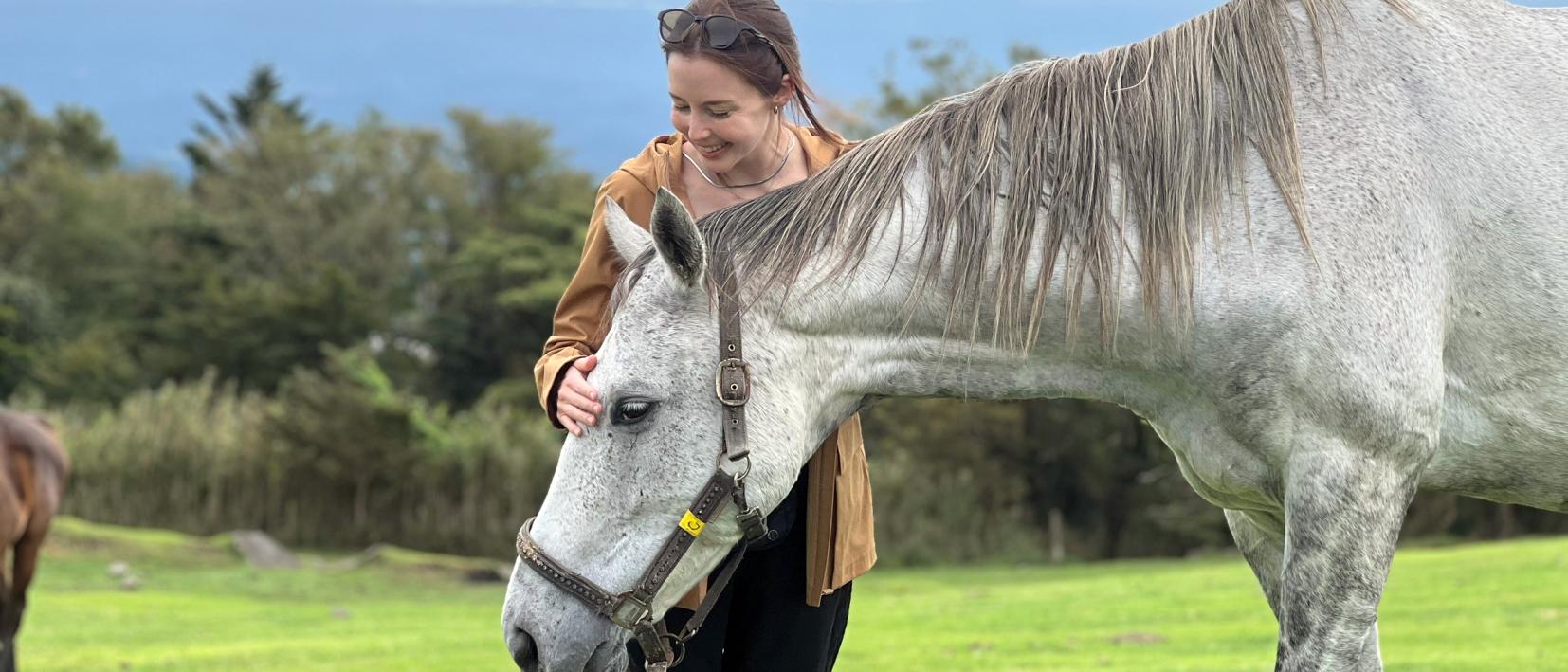 Re-Wild Kagoshima: The ultimate healing experience of interacting with the “Happy Horses”-1