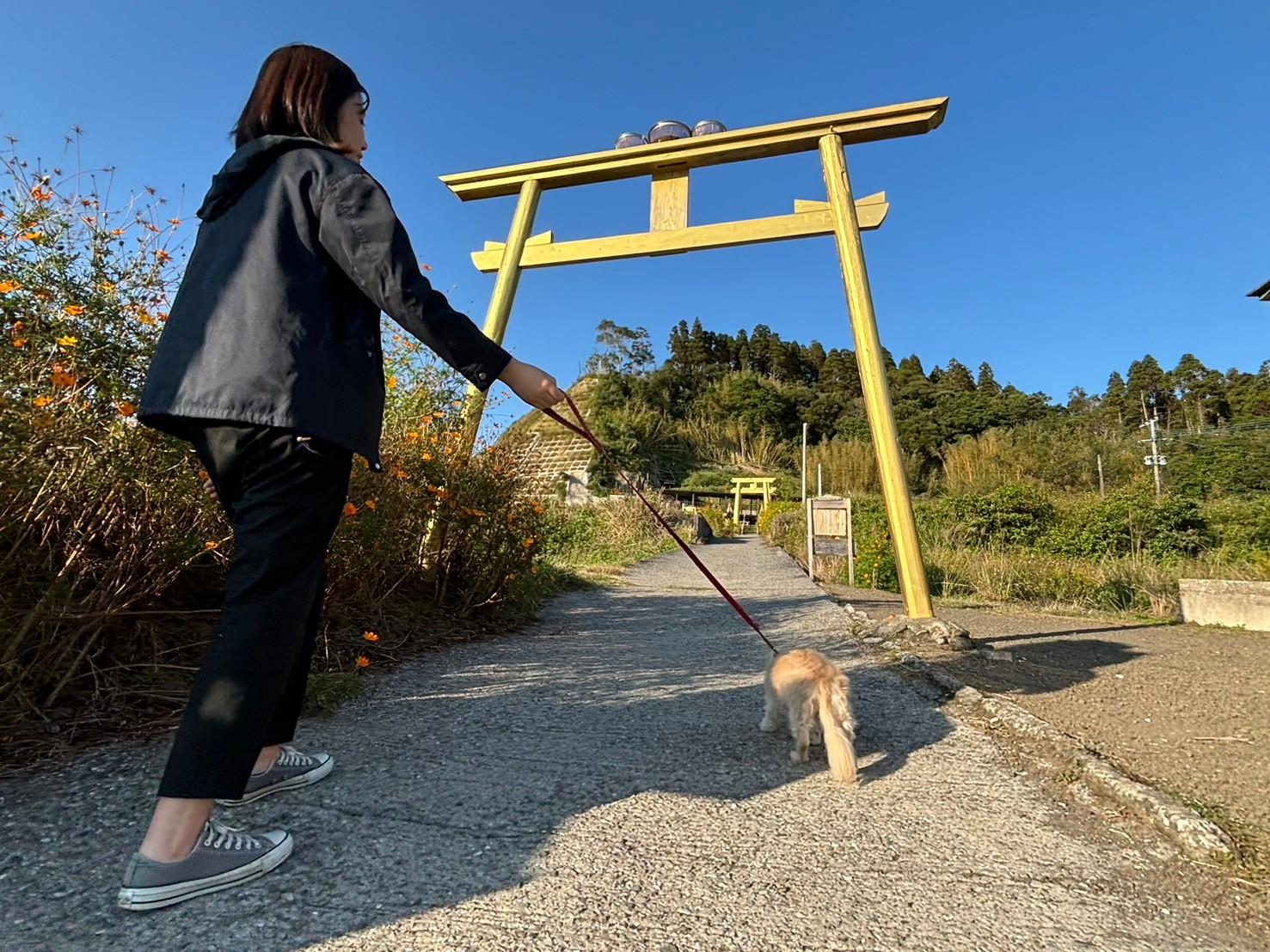 【ペット同伴OK】指宿１日コース[鹿児島市発]-4