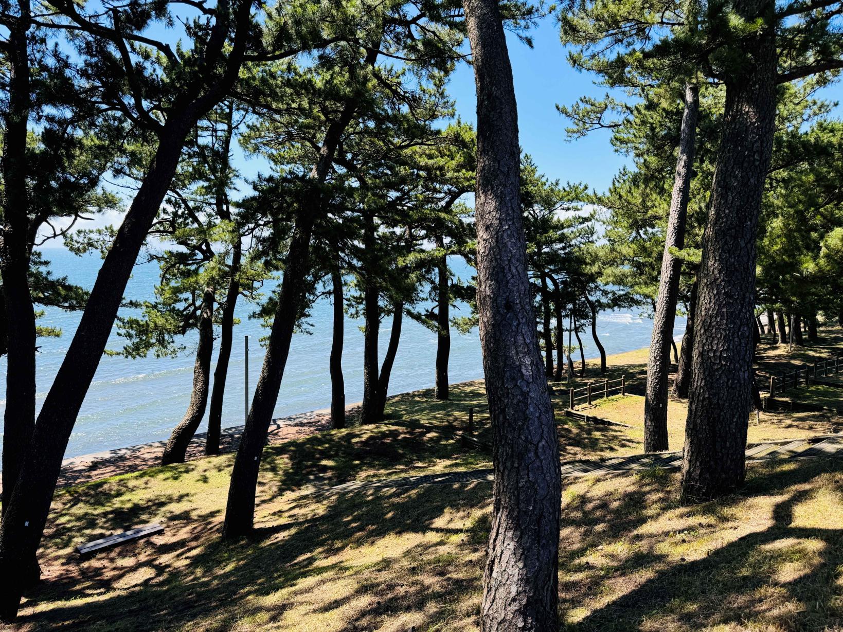 浜田海水浴場-4