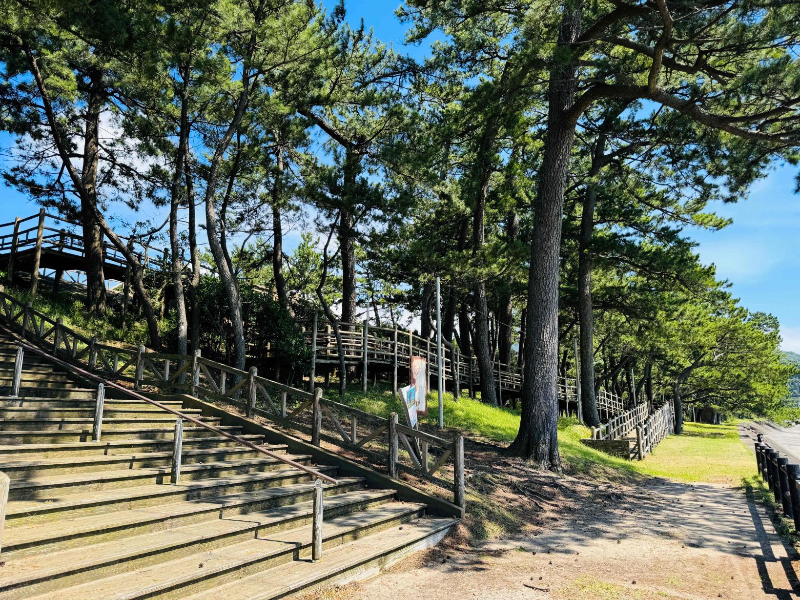 浜田海水浴場-3