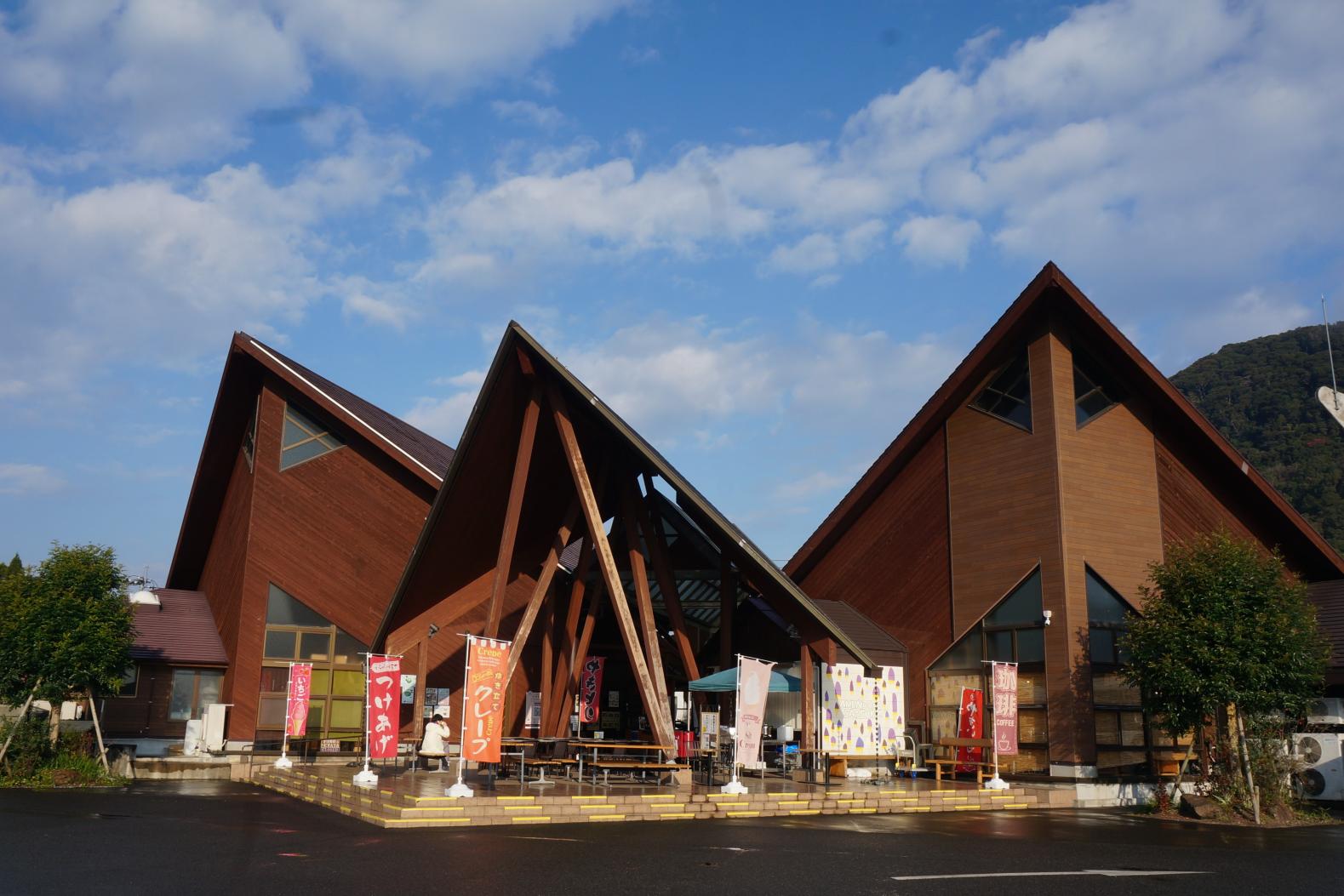 道の駅「樋脇」遊湯館-1