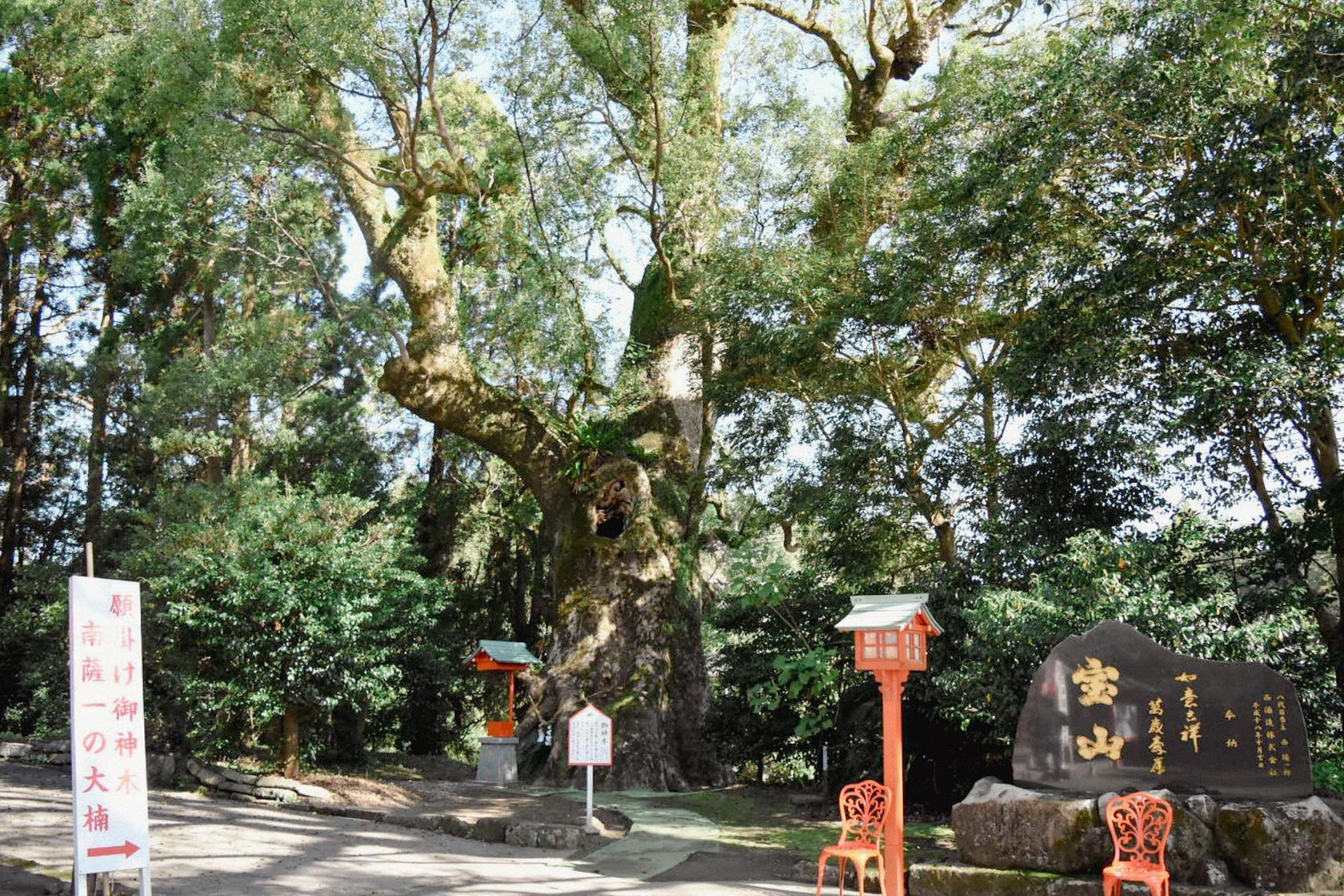 大汝牟遅神社-5