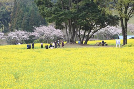 鹿児島市都市農業センター-3