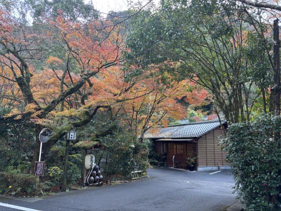 山里の宿 妙見温泉 おりはし旅館-5