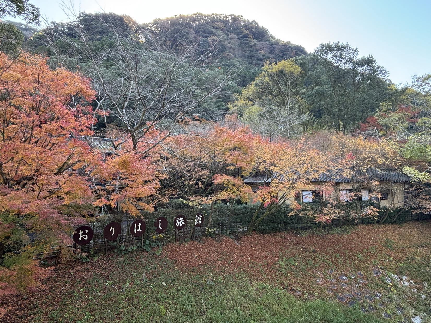 山里の宿 妙見温泉 おりはし旅館-4