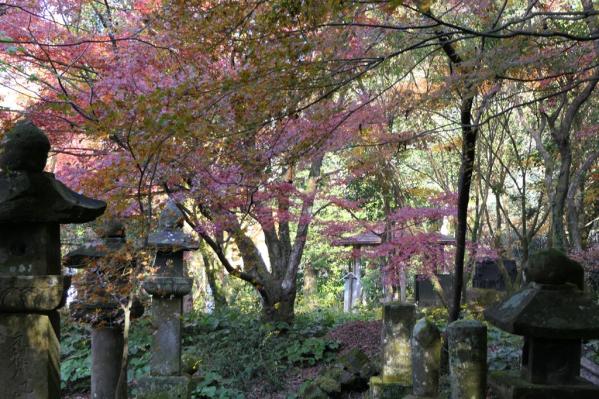 道隆寺跡-5