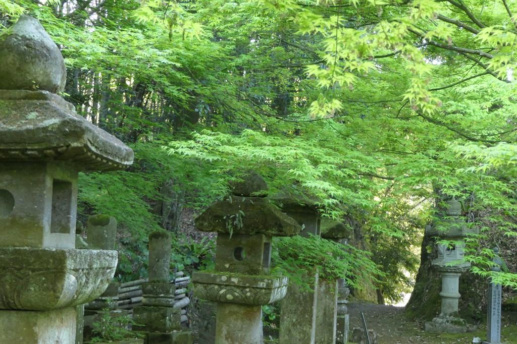 道隆寺跡-3