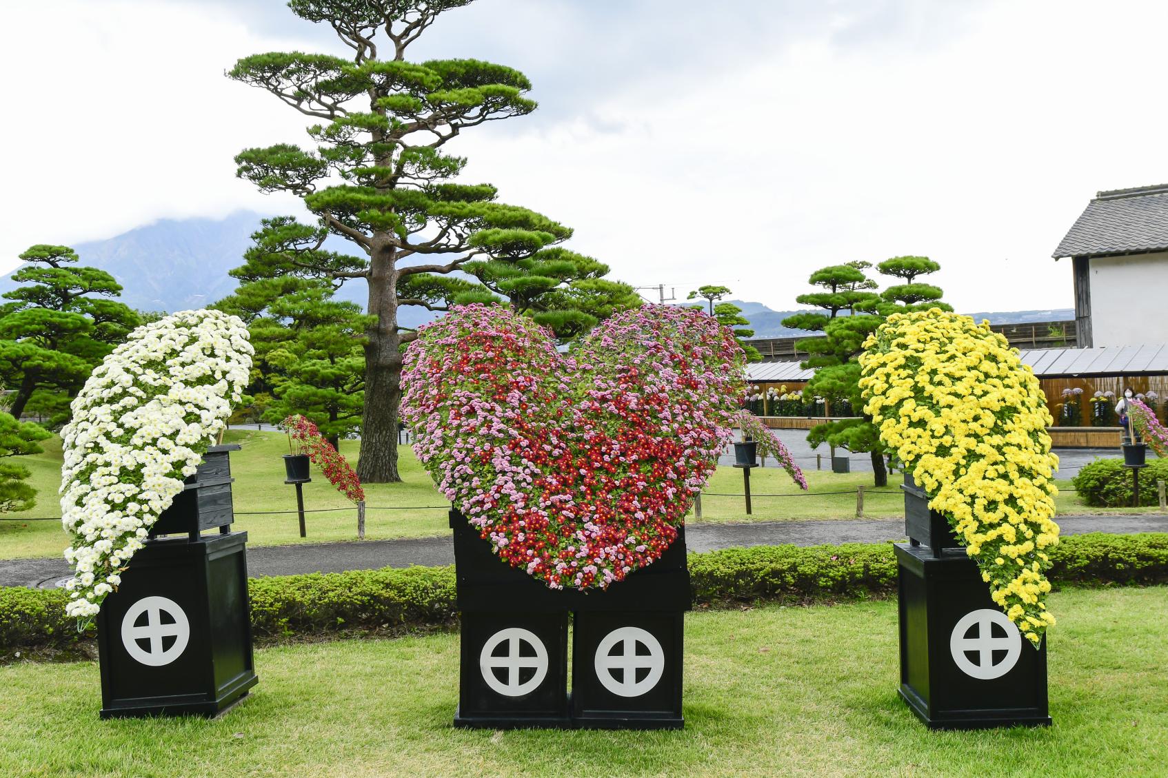 Sengan-en Chrysanthemum Festival-6