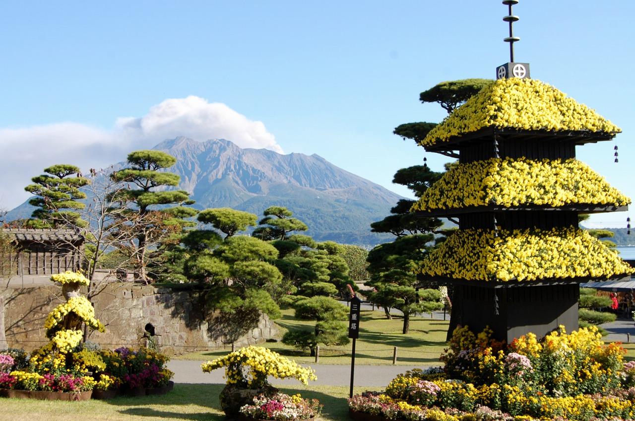 Sengan-en Chrysanthemum Festival-1