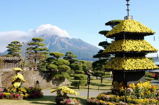 Sengan-en Chrysanthemum Festival-0