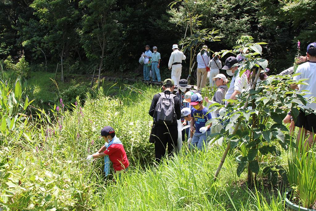 フラワーパークかごしま　夏休み特別企画-6