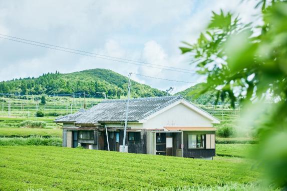 大野岳の麓　茶や、-7