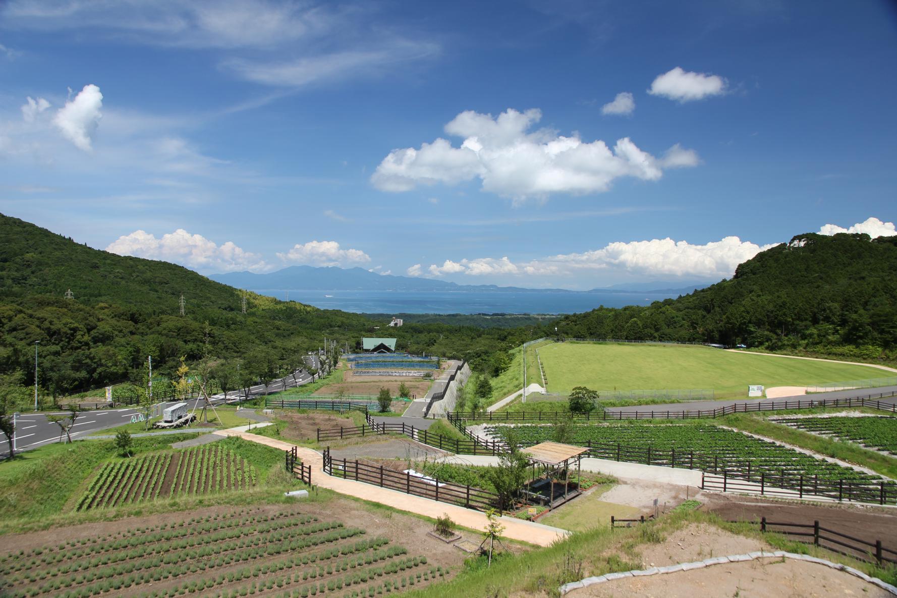 グリーンファーム　秋の里山まつり2024-1