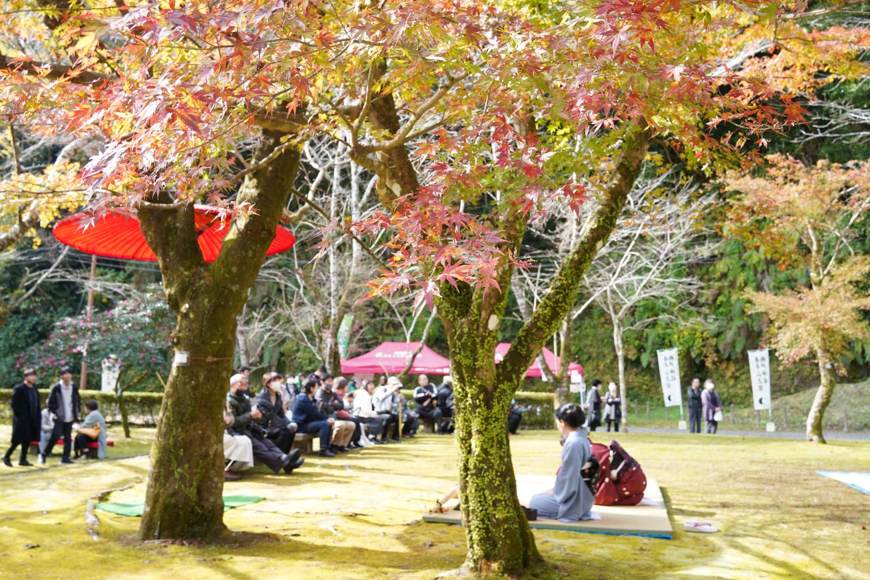 吾平山上陵の四季を楽しむお茶会-0