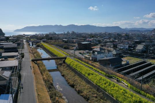 日木山川沿い　菜の花ロード-3