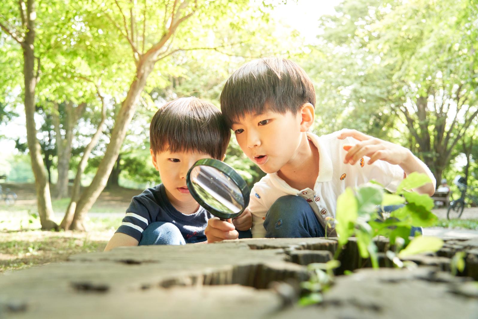 鹿児島県内の楽しい学び・体験スポット